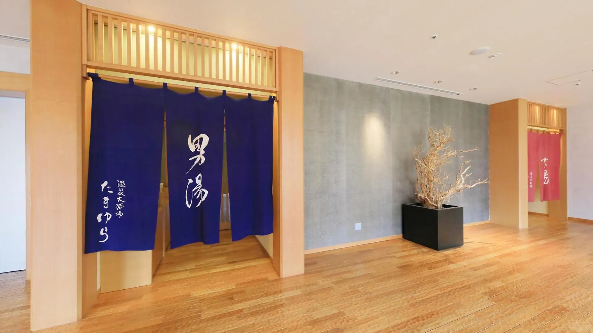 Hakone Hisui Hotel 5*,