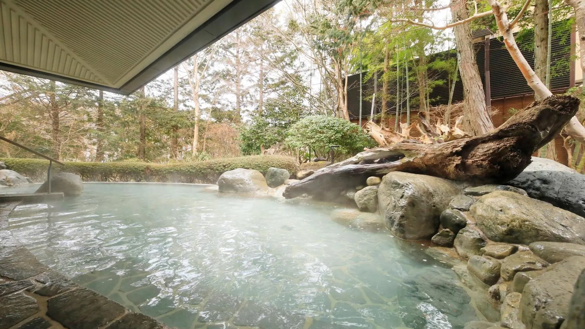Hakone Hisui Hotel Ryokan